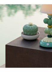 Astrophytum Cactus Diffuser, Gardens Of Valencia Scent
