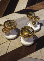 Boletus 1 Diffuser, Gold, On The Prairie Scent