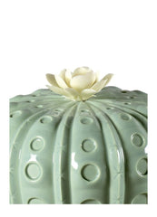 Astrophytum Cactus Diffuser, Gardens Of Valencia Scent
