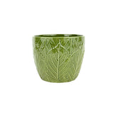 Viva Garden Green Embossed Leaves Cachepot