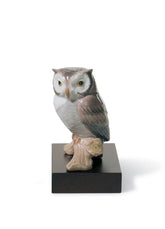 Lucky Owl Figurine
