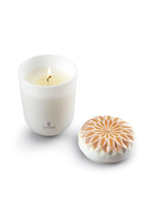 Echoes Of Nature Candle, Gardens Of Valencia Scent