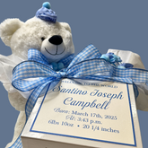 Personalized Teddy Bear Birth Announcement Display