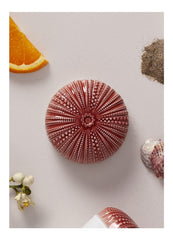 Echoes Of Nature Candle, Mediterranean Beach