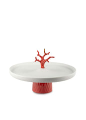 Coral Centerpiece