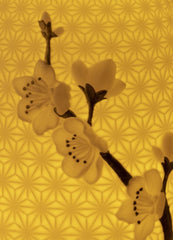 Cherry Blossoms Dome Table Lamp