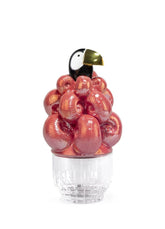 Toucan Ice Bucket, Golden Luster