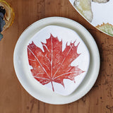 Autunno Assorted Salad Plates - Set Of 4