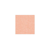 Papersoft Napkins Easy Salmon Cocktail Napkins (Pack of 20)