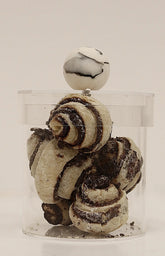 Acrylic Canister With Marble Ball Knob