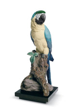 Macaw Bird Sculpture