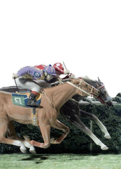 At The Derby Horses Sculpture - Limited Edition