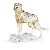 Symbolica stud earrings Crystal pearl, Pavé, Horse shoe, White, Rose gold-tone plated - LAST IN STOCK