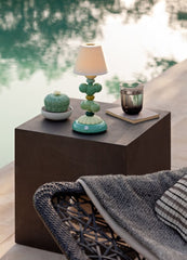 Astrophytum Cactus Diffuser, Gardens Of Valencia Scent