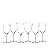 Elegance Wine Tasting Glass 425ml 14floz, Set of 6