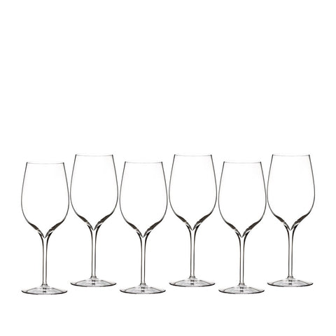 Elegance Wine Tasting Party Tasting Glass, Set Of 6