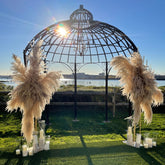 Modern Boho XL Pampas Grass Arrangements Rental