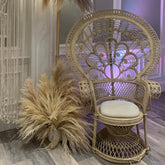 Bridal Throne Rental