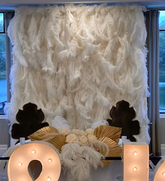 Boho Modern Flowing Feather Backdrop Rental