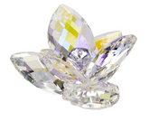 Debora Carlucci 24% Crystal Lotus Waterlily