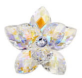 Debora Carlucci 24% Crystal Lotus Waterlily