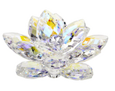 Debora Carlucci 24% Crystal Lotus Waterlily