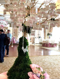 Dalmazio Design Fairy Tale Garden Moss Tree Centerpiece Rental
