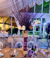 Football Filled Vase Centerpiece w Branches Rental