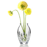 Giftology Lismore Candy 5in Bud Vase