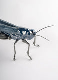 Grasshopper Figurine