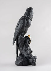 Macaw Bird Sculpture, Black/Gold - Limited Edition