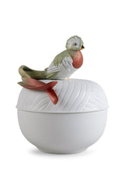 Quetzal Box