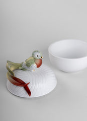 Quetzal Box