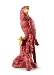 Macaw Bird Sculpture, Red/Gold - Limited Edition