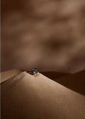 Scarab Metal Ring