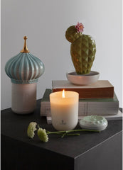 Opuntia Cactus Diffuser, Gardens Of Valencia Scent