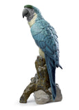 Macaw Bird Sculpture