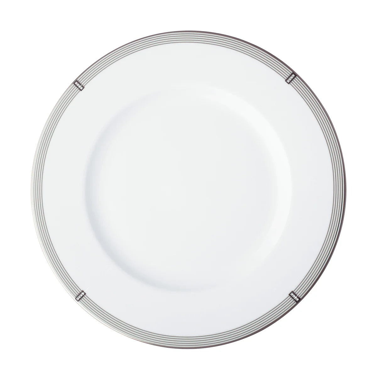 Regency Platinum Dinner Plate 10.5in
