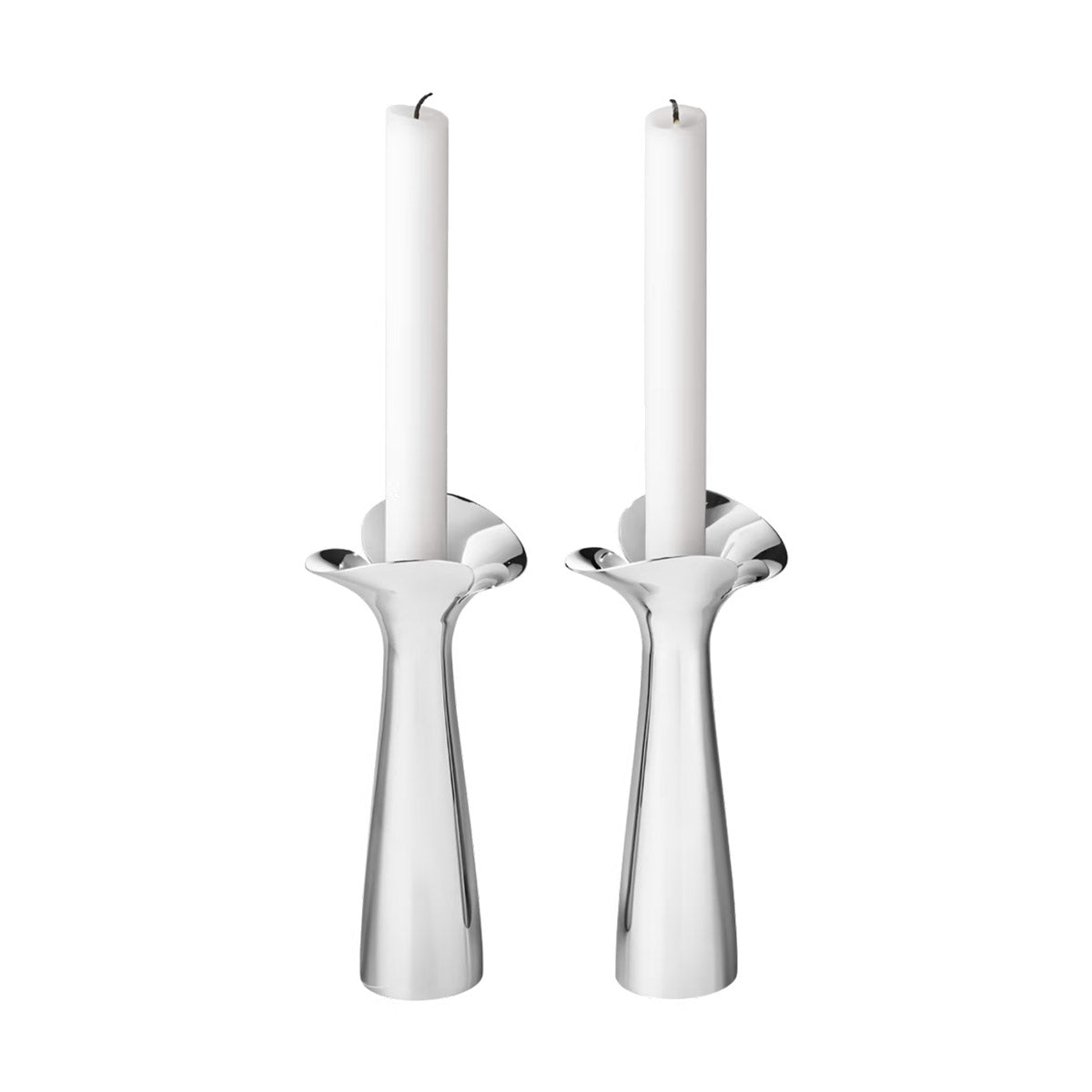 Bloom Botanica Candleholder 2 Pcs