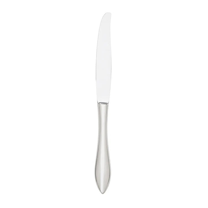 Contorno Mirrored 18/10 Stainless Steel Dinner Knife