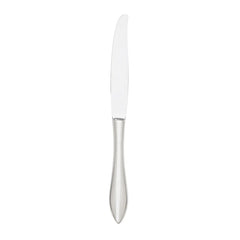 Contorno Mirrored 18/10 Stainless Steel Dinner Knife