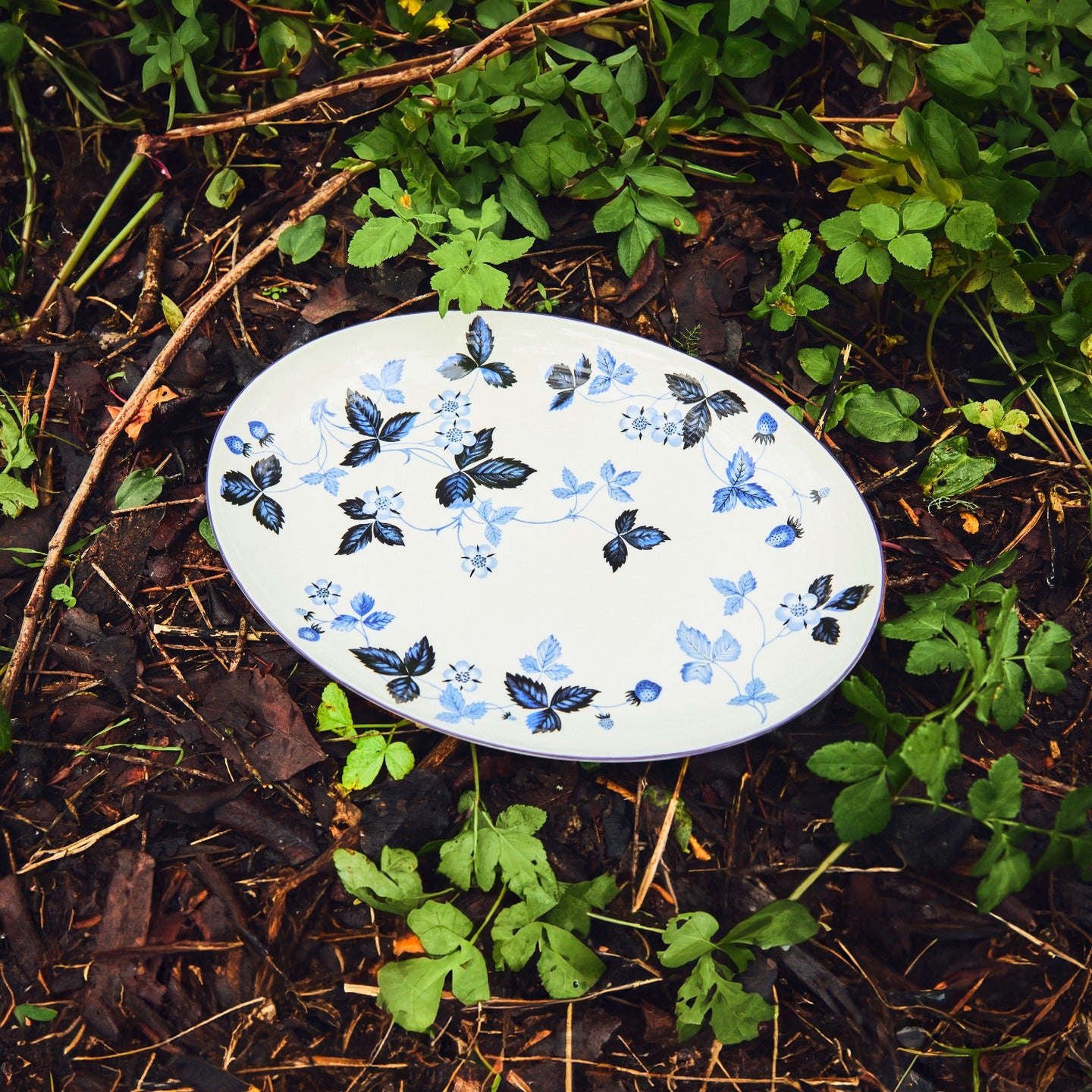Wild Strawberry Inky Blue Dinner Plate