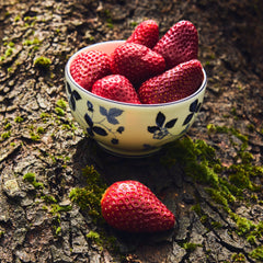 Wild Strawberry Inky Blue Bowl