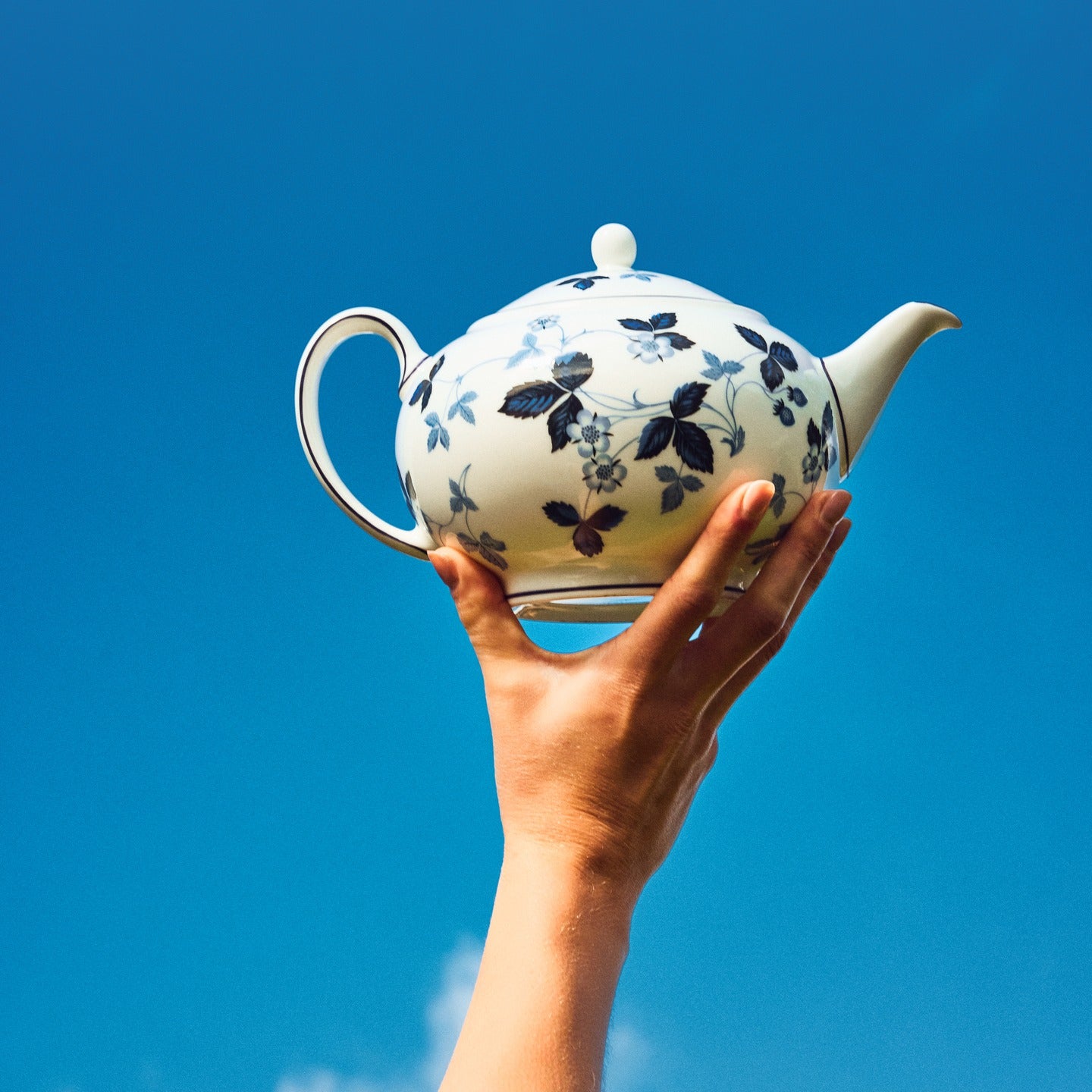 Wild Strawberry Inky Blue Teapot