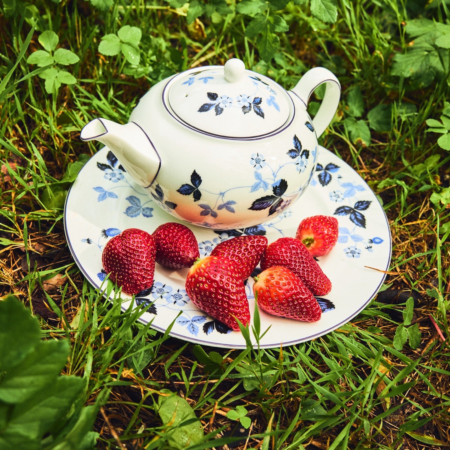 Wild Strawberry Inky Blue Teapot