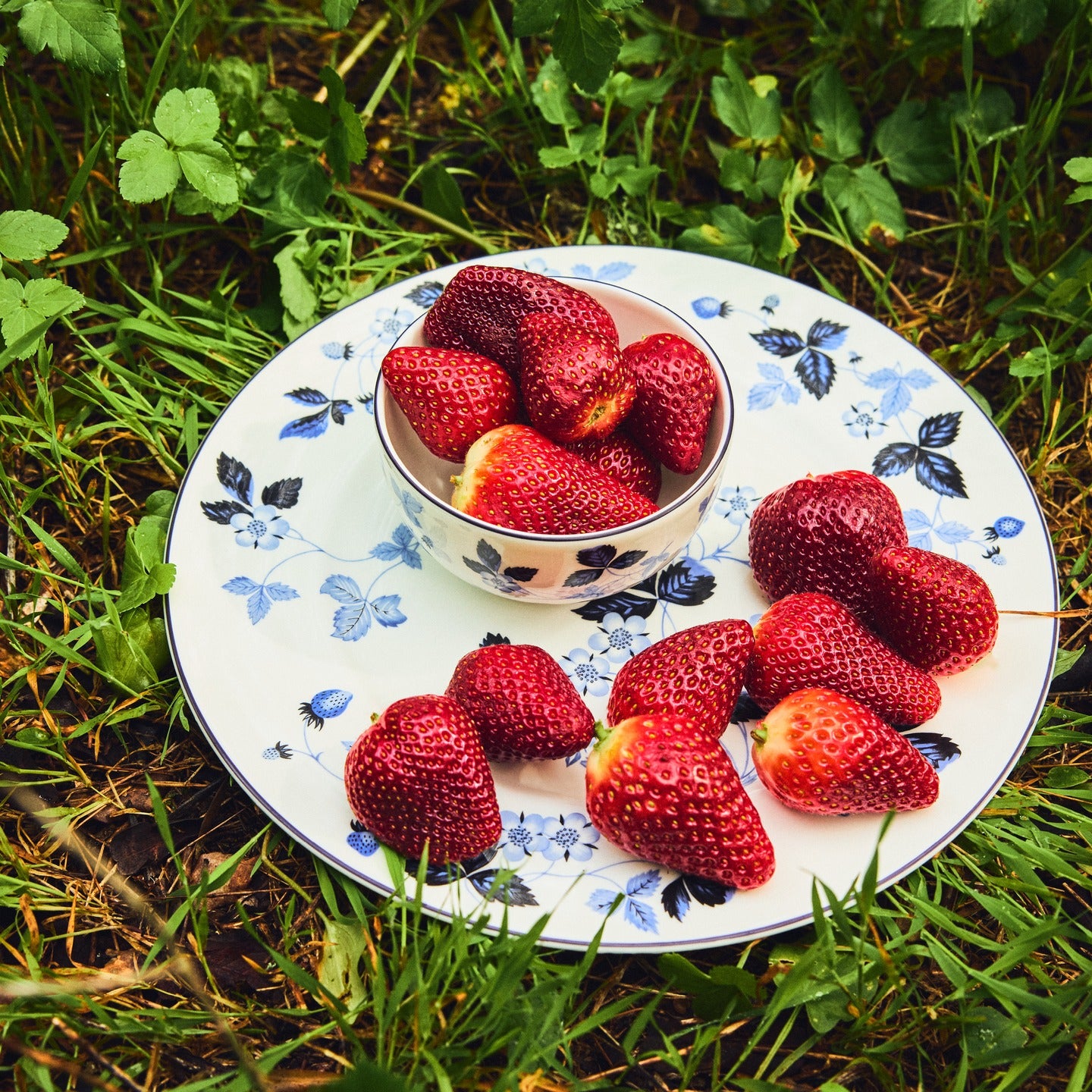 Wild Strawberry Inky Blue Dinnerware 15 Piece Set