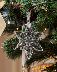 Snowcrystal Ornament 2026