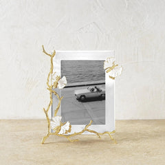 Butterfly Ginkgo Gold Reflective Frame (5x7)