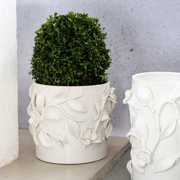 Bougainvillea Garden White Short Cachepot