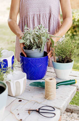 Viva Garden Cobalt Embossed Leaves Cachepot